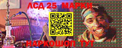 сатива Аргун