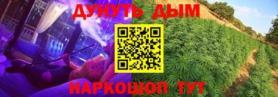 сатива Аргун