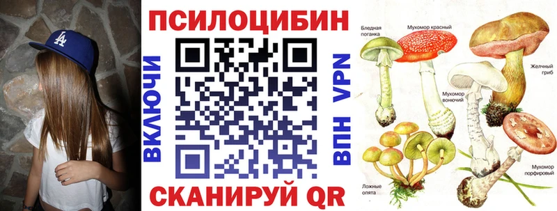 Псилоцибиновые грибы GOLDEN TEACHER Дальнегорск