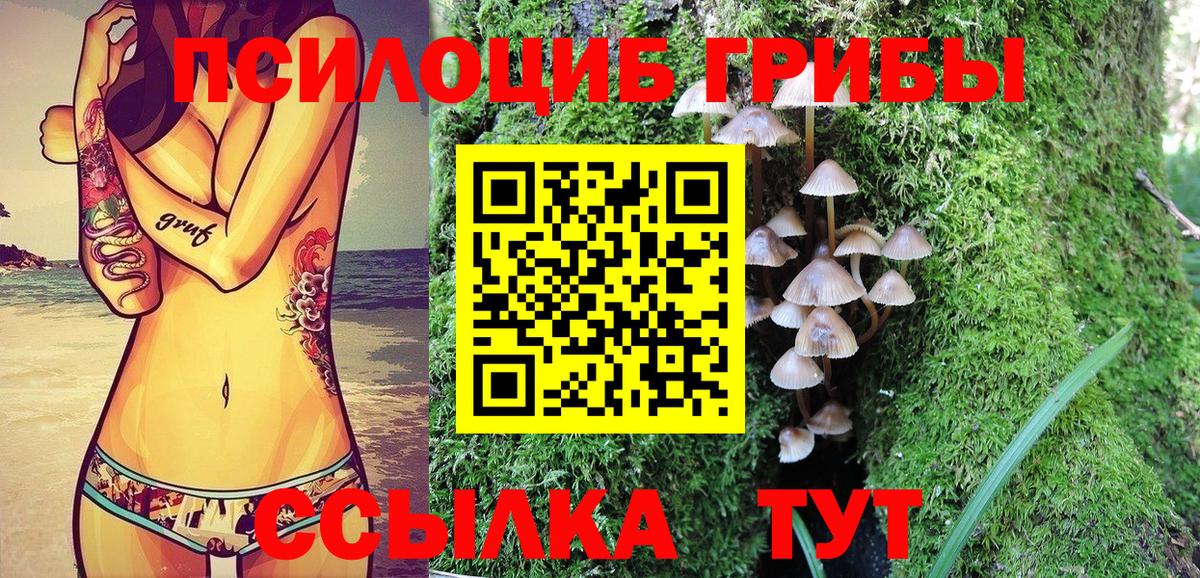 Дальнегорск  Псилоцибиновые грибы мухоморы  Вход с VPN  Галлюциногенные грибы ЛСД 