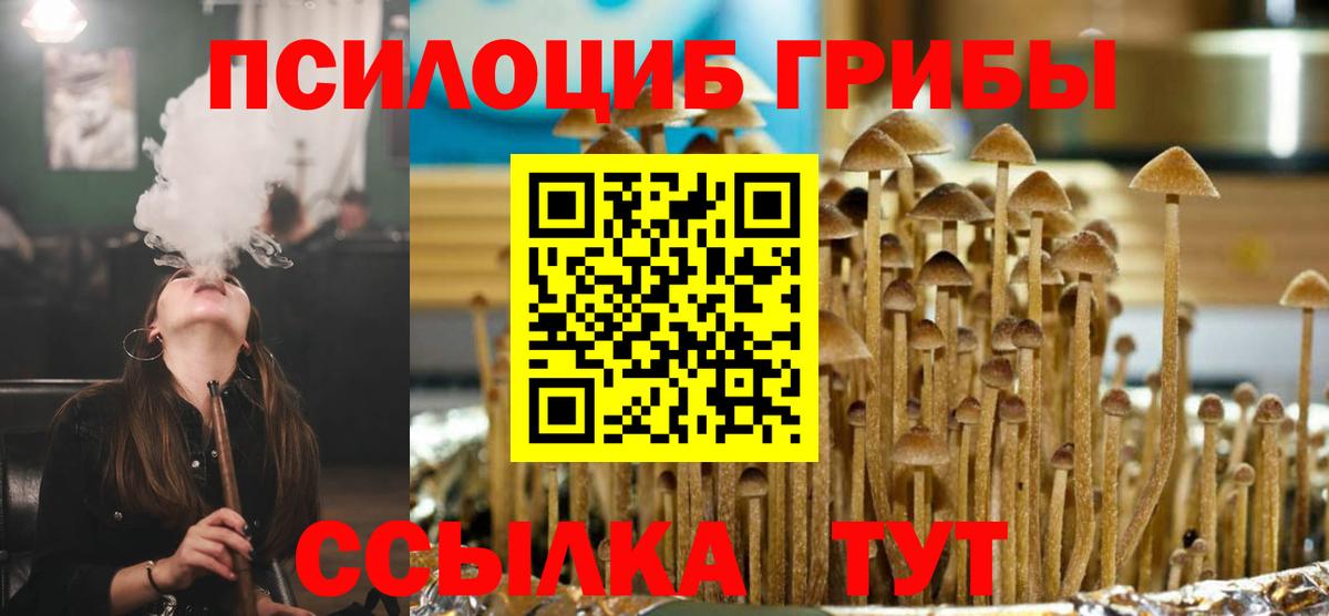 Псилоцибиновые грибы Magic Shrooms Дальнегорск