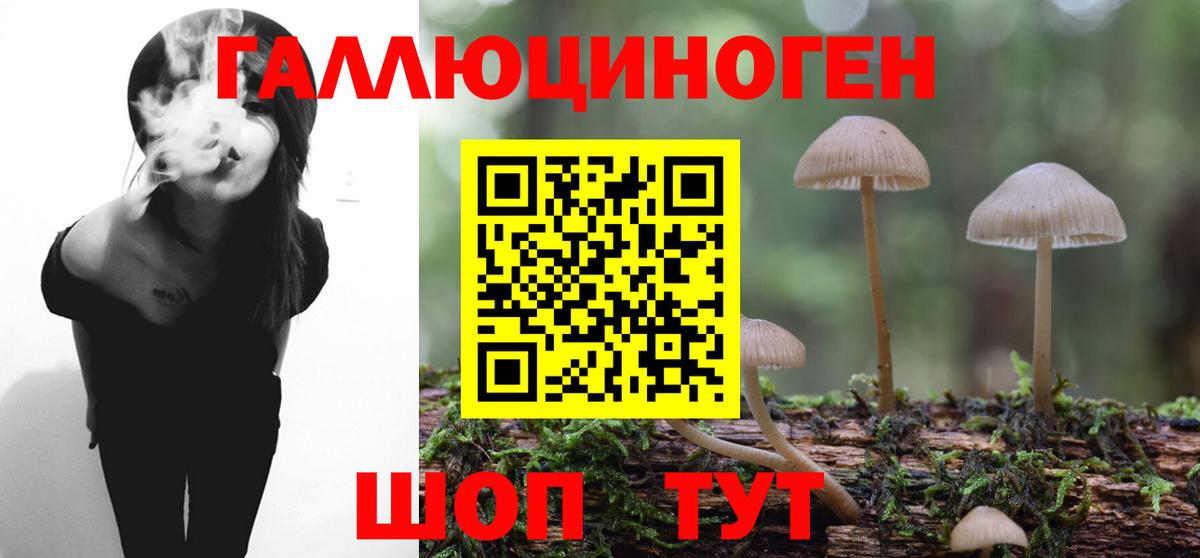 Псилоцибиновые грибы ЛСД  Псилоцибиновые грибы Psilocybe  Дальнегорск 